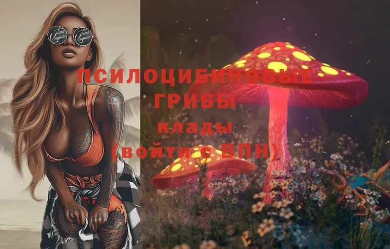 Псилоцибиновые грибы Magic Shrooms  Михайловск 